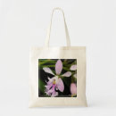 Search for epidendrum Flower photos