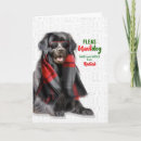 Search for newfoundland christmas cards Dogs