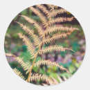 Search for autumn leaf stickers Golden
