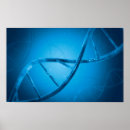 Search for dna posters Genes