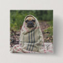 Search for pet pug badges Funny