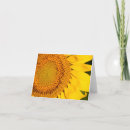 Search for close ups cards Flower