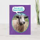 Search for funny sheep birthday cards Animal