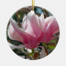 Search for magnolia blossom christmas tree decorations Nature