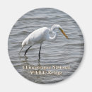 Search for wildlife magnets National park