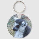 Search for ring tailed lemur key rings Lemurs