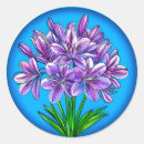 Search for agapanthus stickers Floral