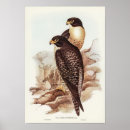 Search for cheeks posters Animal