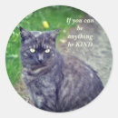 Search for motivational cat stickers Pet