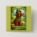 Search for irish leprechaun badges Ireland