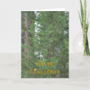 Search for cave rock postcards Tahoe