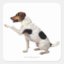 Search for jack russel stickers Sitting