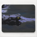 Search for gators electronics Animal