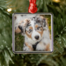 Search for australian shepherd christmas tree decorations Puppy