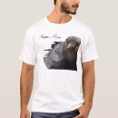 Search for never more Raven