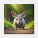 Search for burrowing magnets Animal