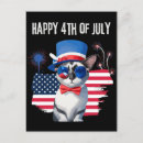 Search for 4th of july postcards Fireworks
