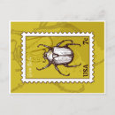 Search for entomology postcards Zoology
