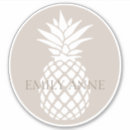 Search for big pineapple stickers Fruit