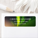 Search for northern lights return address labels Aurora borealis