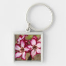 Search for daytime key rings Colour image