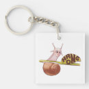 Search for cute snail key rings Inspirational