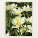 Search for tender office supplies Nature