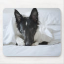 Search for bed mousepads Animal