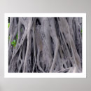 Search for tree trunks posters Trees