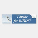 Search for i brake for birds bumper stickers Birding