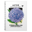 Search for asters notebooks Flower