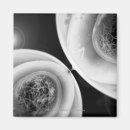 Search for cell division Black