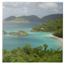 Search for caribbean island tiles Tropical