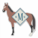 Search for hunter jumper electronics Dressage