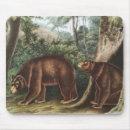 Search for ursus electronics Wildlife