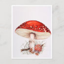 Search for fly agaric postcards Red