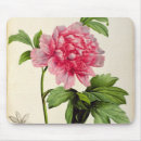 Search for redoute mousepads Flower
