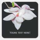 Search for magnolia tree stickers Nature