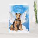 Search for pet sympathy cards Dogs