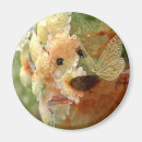 Search for teddies magnets Flowers