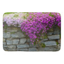 Search for phlox Pink