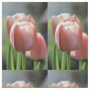 Search for tulips fabric Pink