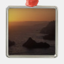 Search for big sur christmas tree decorations Usa