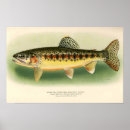 Search for vintage fly fishing art Outdoor