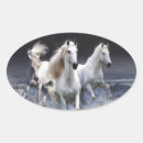 Search for running horses stickers White horse