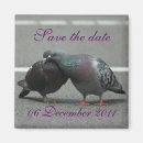 Search for pigeon invitations Cute