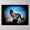 Search for grumpy humour posters Kitty
