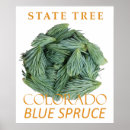 Search for colorado posters National park
