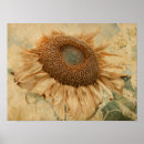 Search for vintage sunflower posters Rustic