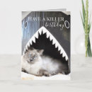 Search for killer shark Birthday